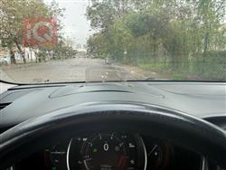 رينو تلسمان